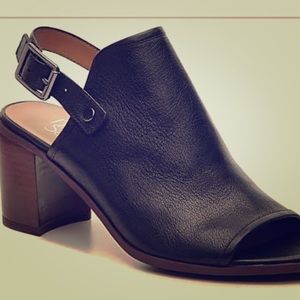 Franco Sarto ankle boots